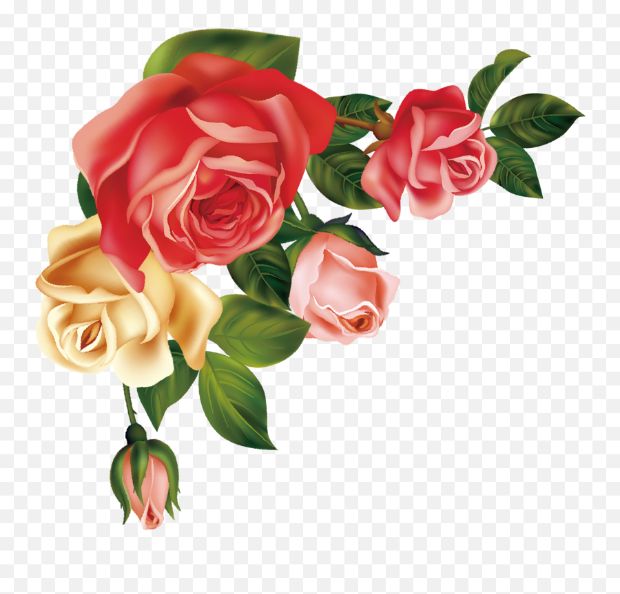 Download Hand Drawn Cartoon Fashion - Flower Decoration Vector Free Png,Rose Vector Png