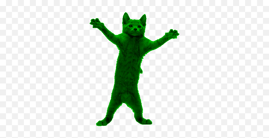 Cat Dance - Dancing Cats Gif Png,Dance Gif Png