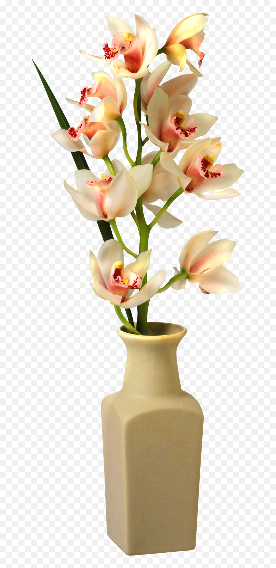 Tropical Flower Vase Transparent Png - Transparent Flower Vase Png,Vase Png
