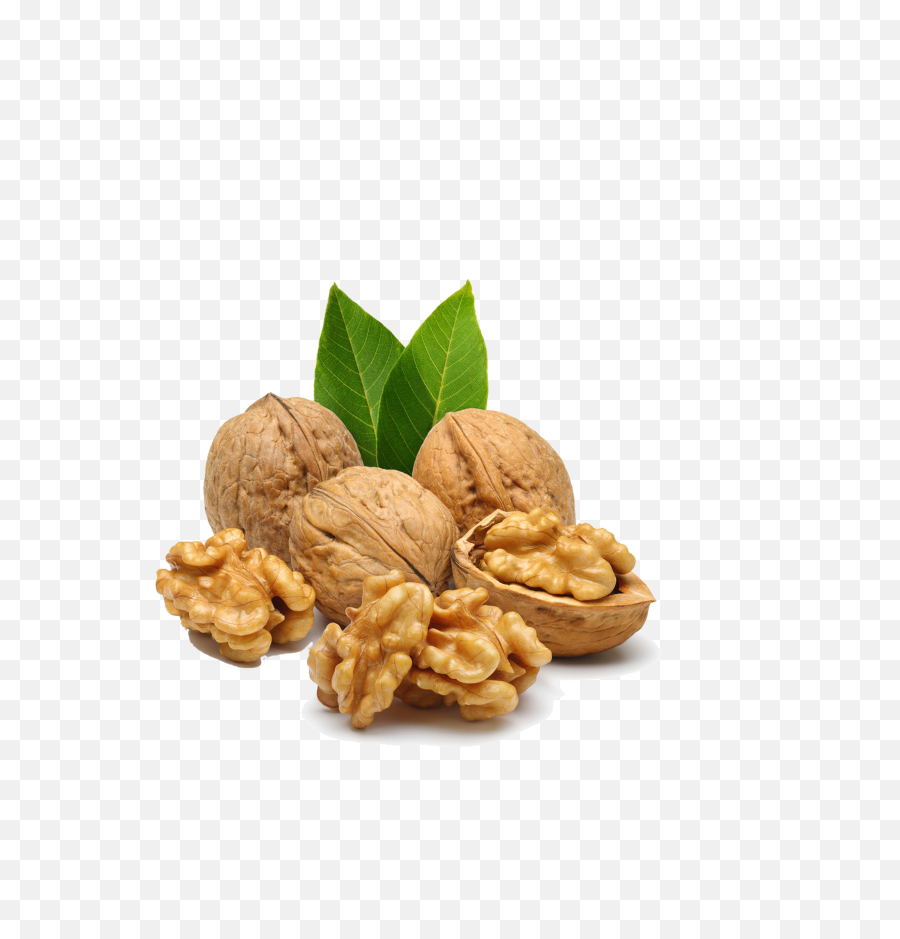 Walnut Png Transparent Images - Walnut Png,Walnut Transparent