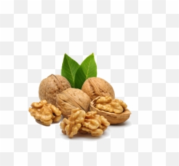 Walnut Png Transparent Images - Walnut Png,Walnut Transparent