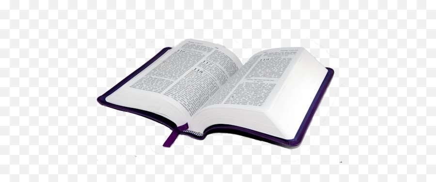 Cropped - Transparent Background Bible Png,Open Bible Png