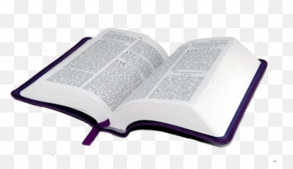Cropped - Transparent Background Bible Png