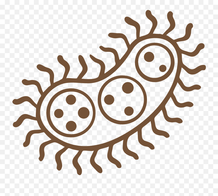 Holistic Registered Dietitian Nutritionist Austin Tx - Drawing Of Bacteria Png,Gut Icon