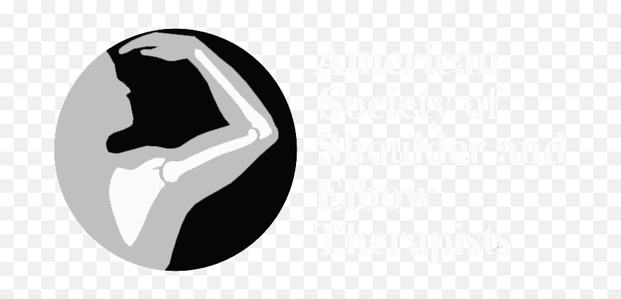 American Society Of Shoulder And Elbow Therapists - Language Png,Ana Overwatch Icon