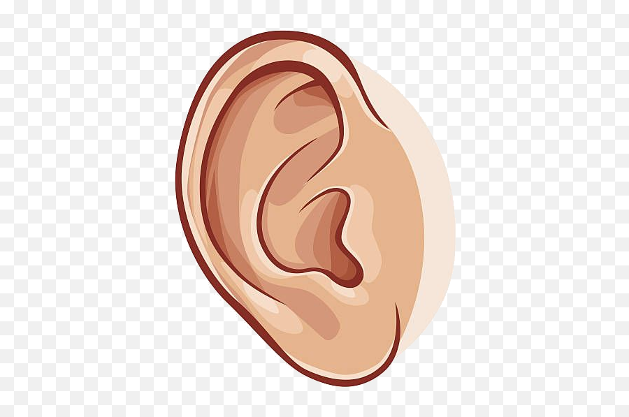 Clipart Library Png Files - Ear Clipart,Ear Png