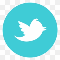 Download Hd Somacro Social Media Icons - Circle Twitter Logo Png
