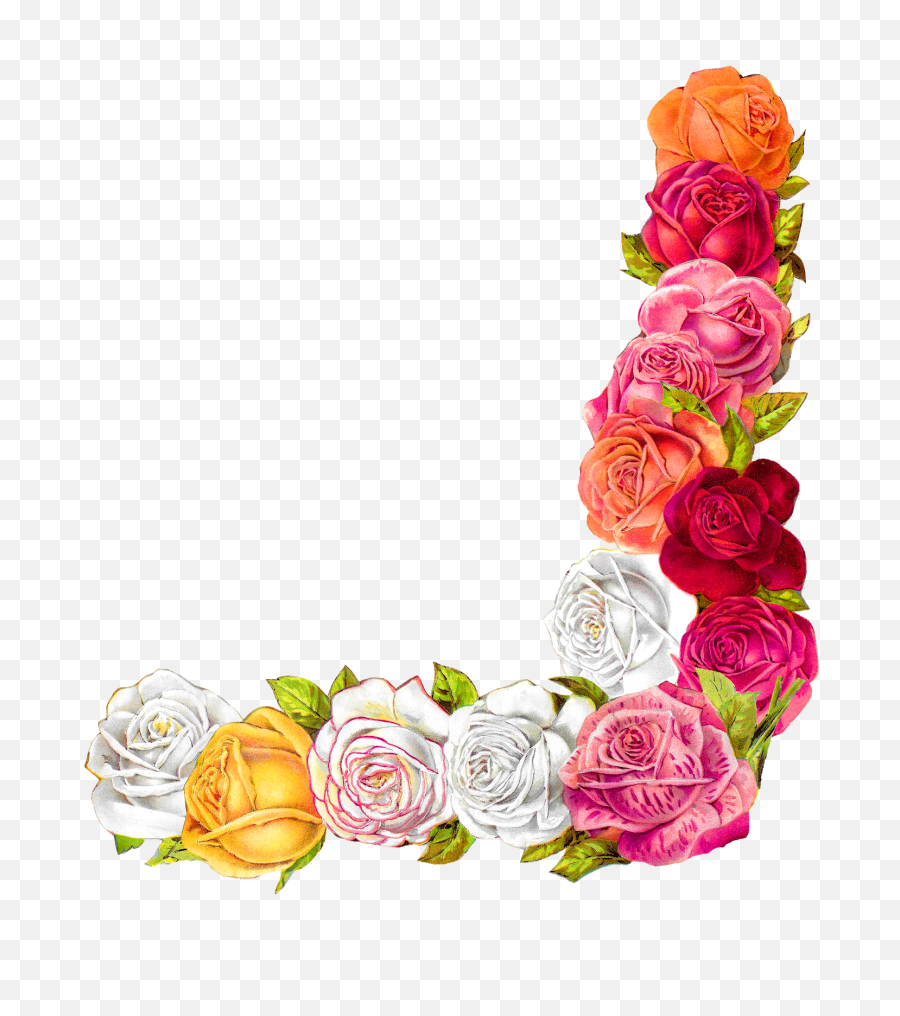 Digital Shabby Chic Rose Border - Rose Design For Scrapbook Png,Rose Border Transparent