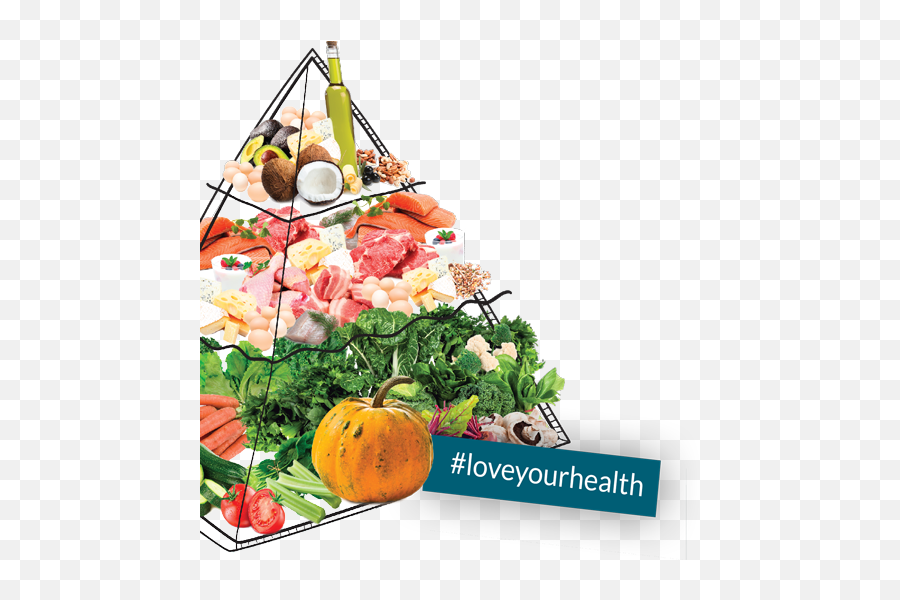 Nutrition For Life Low Carb Lchf Australia - Health Advice Floral Design Png,Food Pyramid Png