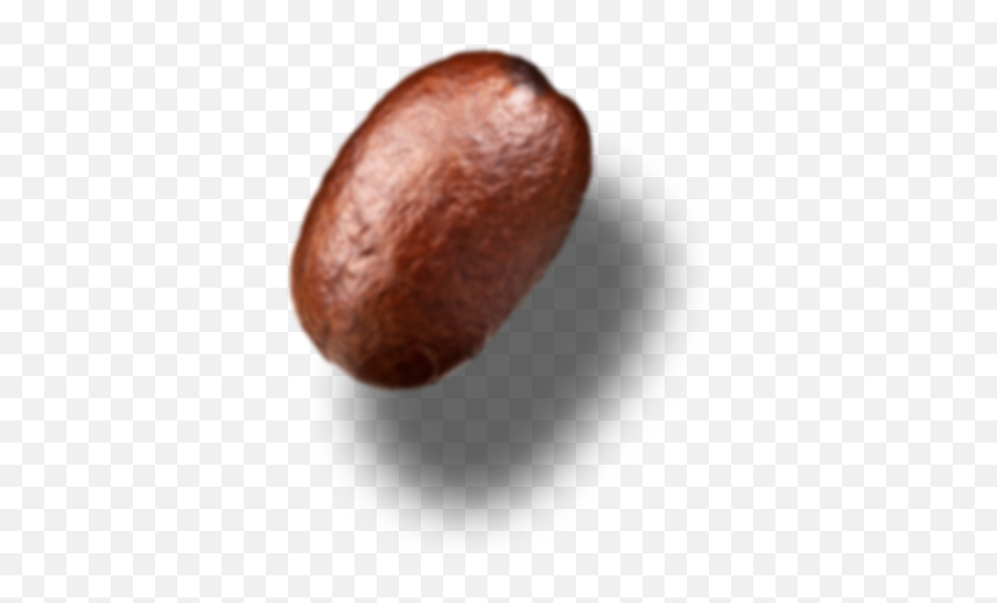 Download Single Coffee Bean Png - Avocado,Bean Png