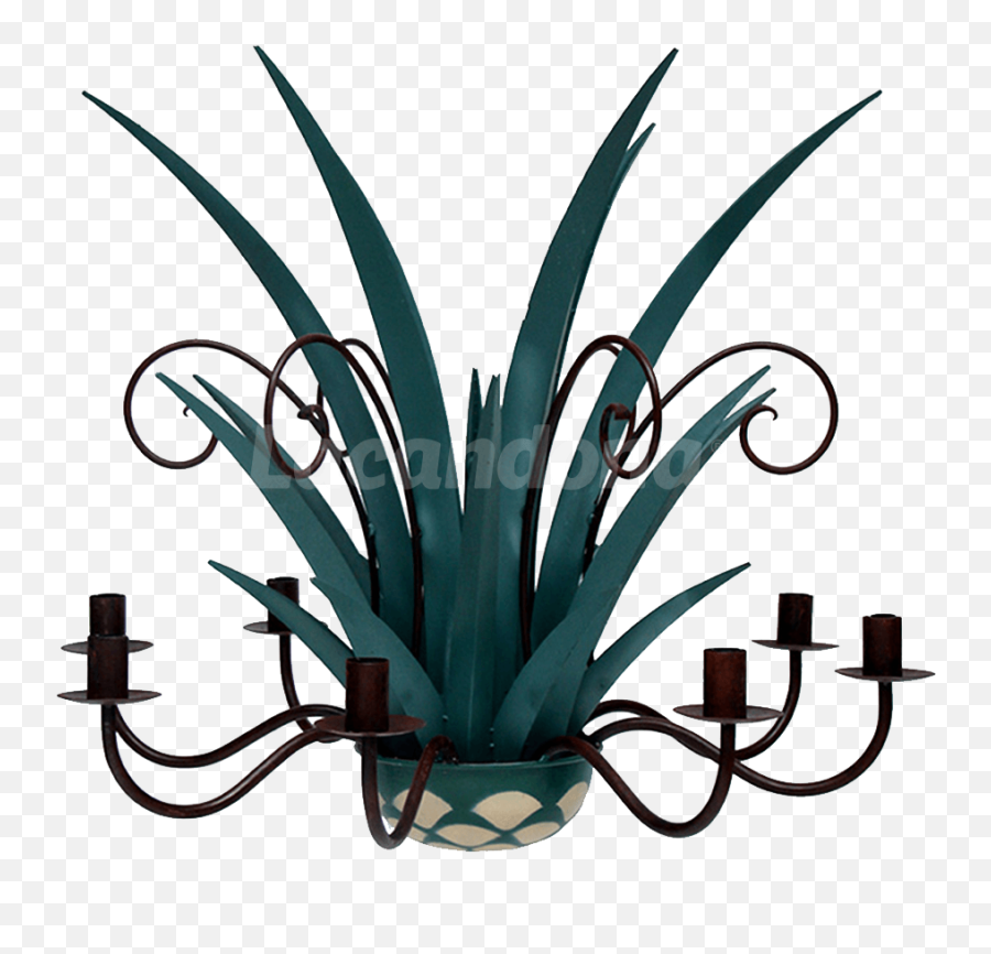Download Agave Chandelier - Agave Azul Png,Agave Png