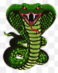 Snake Scale King Cobra - Cobra png download 746932 Drawing Cartoon