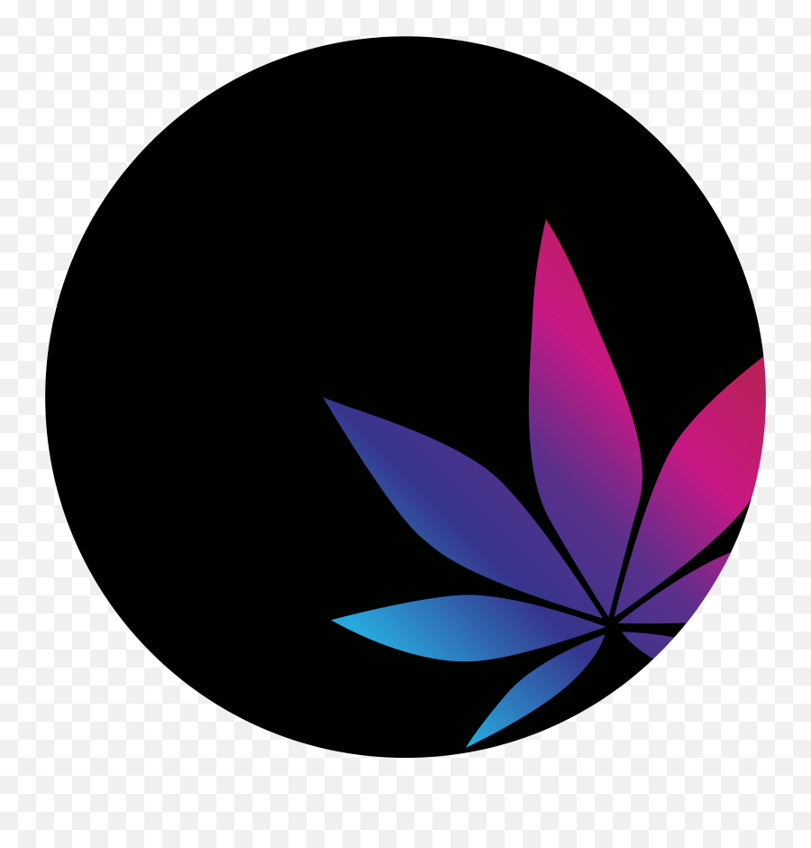 Home U2022 Dolce Cannaba Png Gabbana Logo