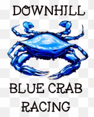 Crabs Clipart Blue - Chesapeake Png