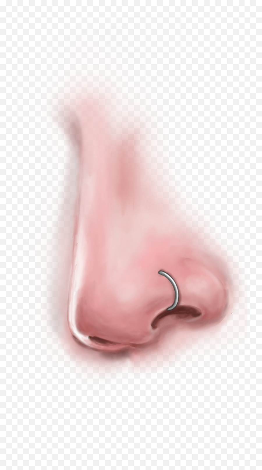 Nose Piercing Pavilion - Earrings Png,Transparent Piercing