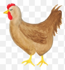 Chicken Clipart Png - Watercolor Clipart Farm Hen Chicken Cute Png