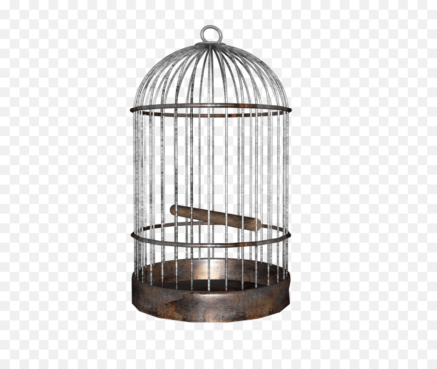 Bird Cage Png Image - Purepng Free Transparent Cc0 Png The Cafe,Cage Transparent Background