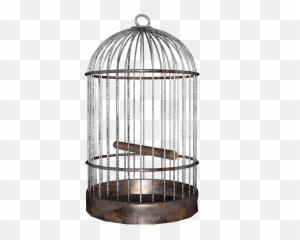 Bird Cage Png Image - PurePNG Free transparent CC0 The Cafe