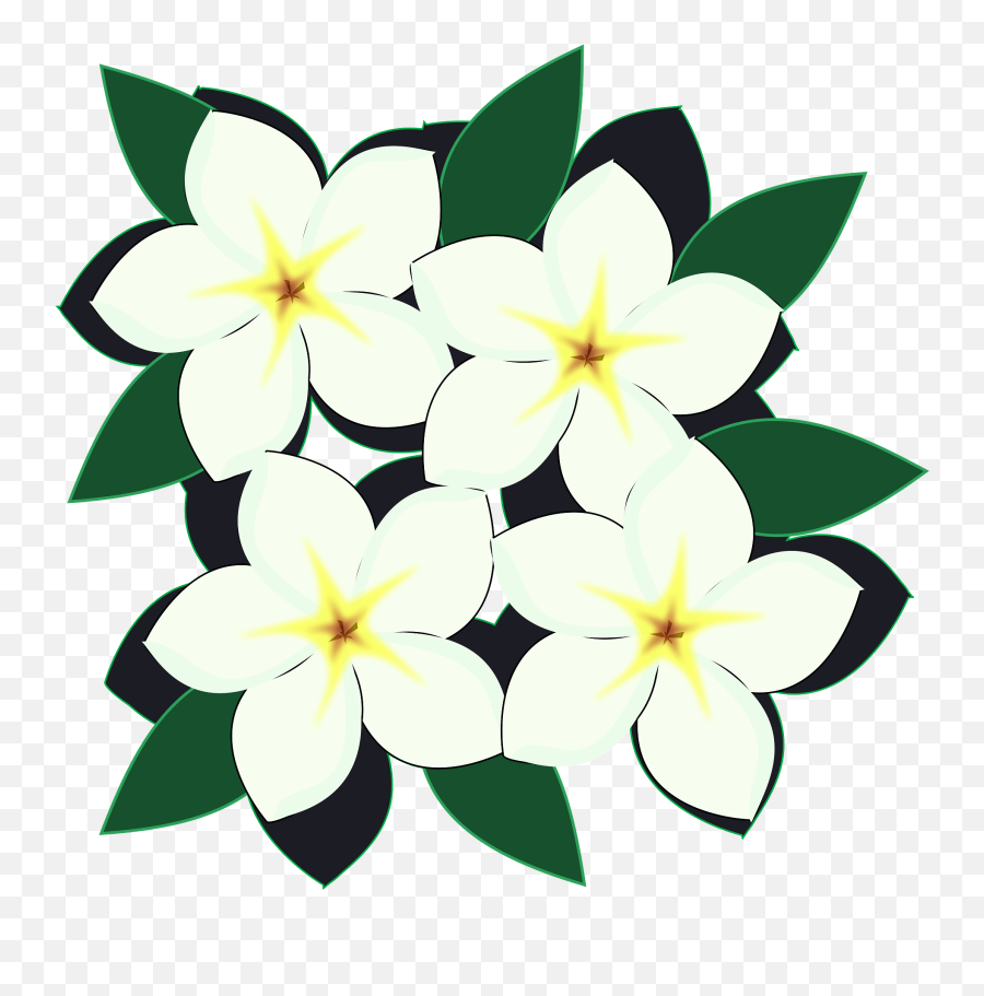 White Flowers Clipart Free Download Transparent Png - Flores Clipart,Plumeria Flower Png