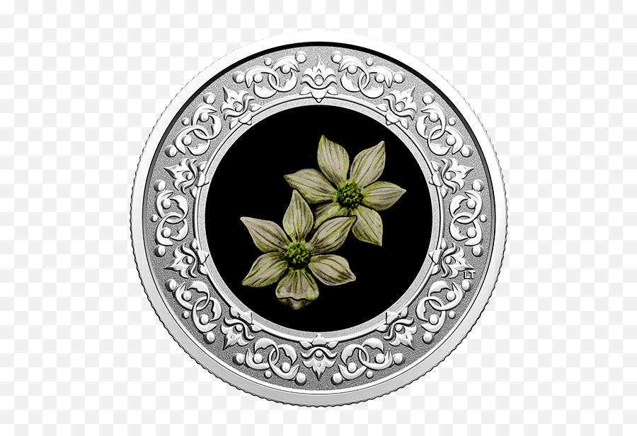 Pure Silver Coloured Coin U2013 Pacific Dogwood Floral - Purple Violet Flower New Brunswick Png,Dogwood Png