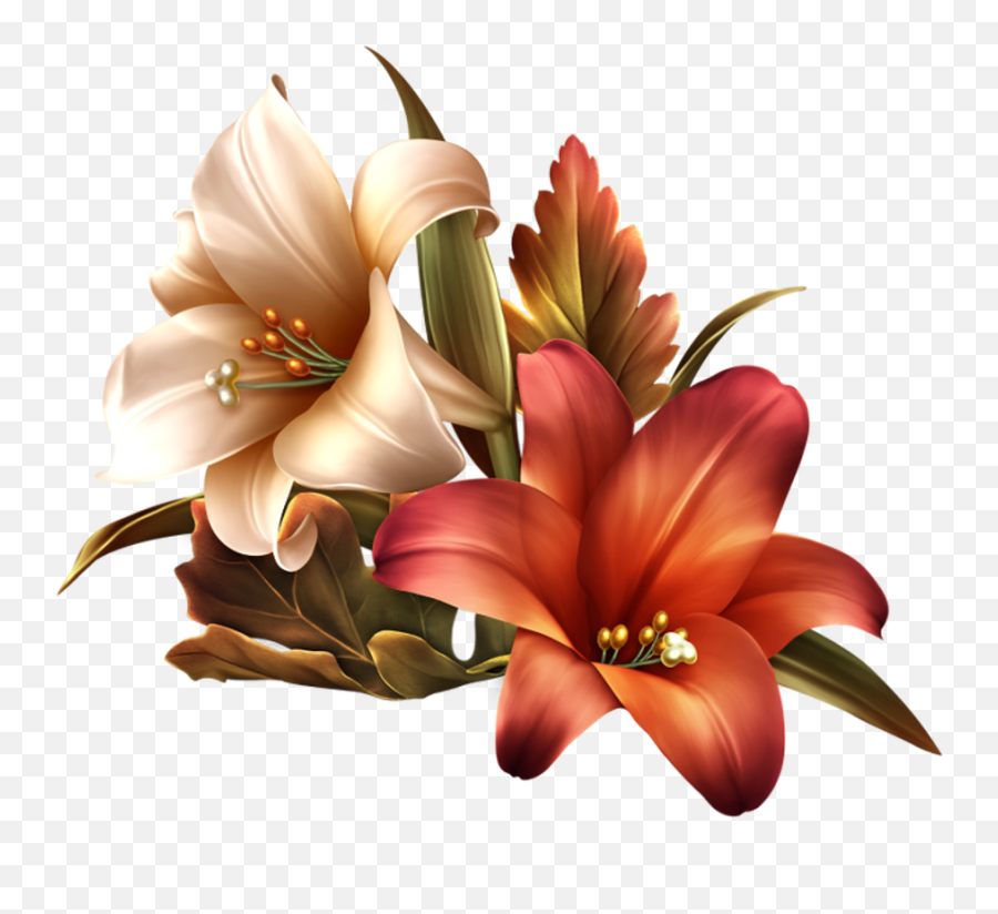 Art Flowers Png Transparent - Amaryllis Drawing,Fall Flowers Png