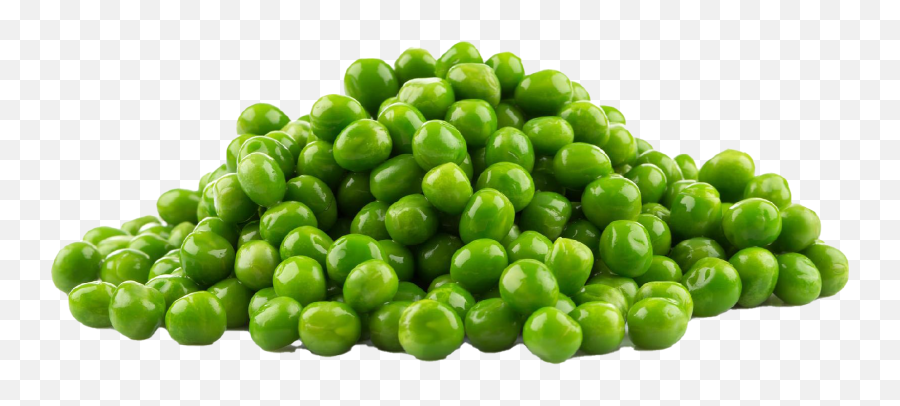 Pea Png Hd Quality - Fresh Green Peas,Pea Png