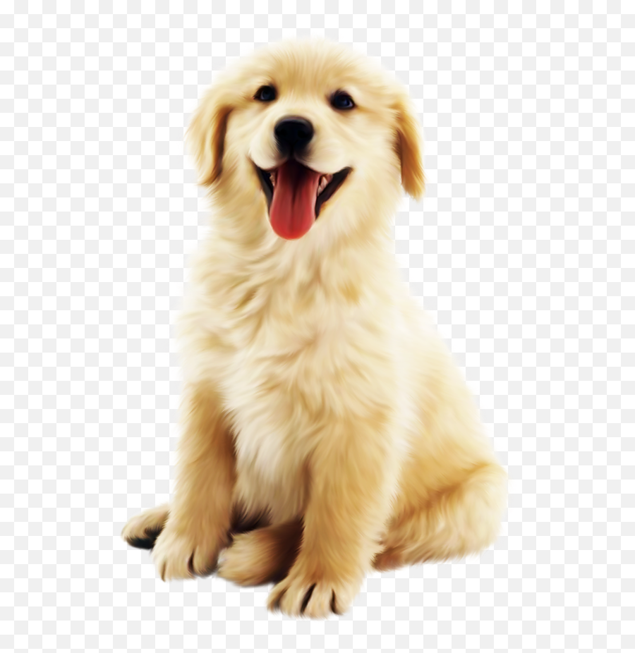 Cute Golden Pet Dog Png Download - 823921 Free Transparent Transparent Background Dog Png,Cute Dog Png