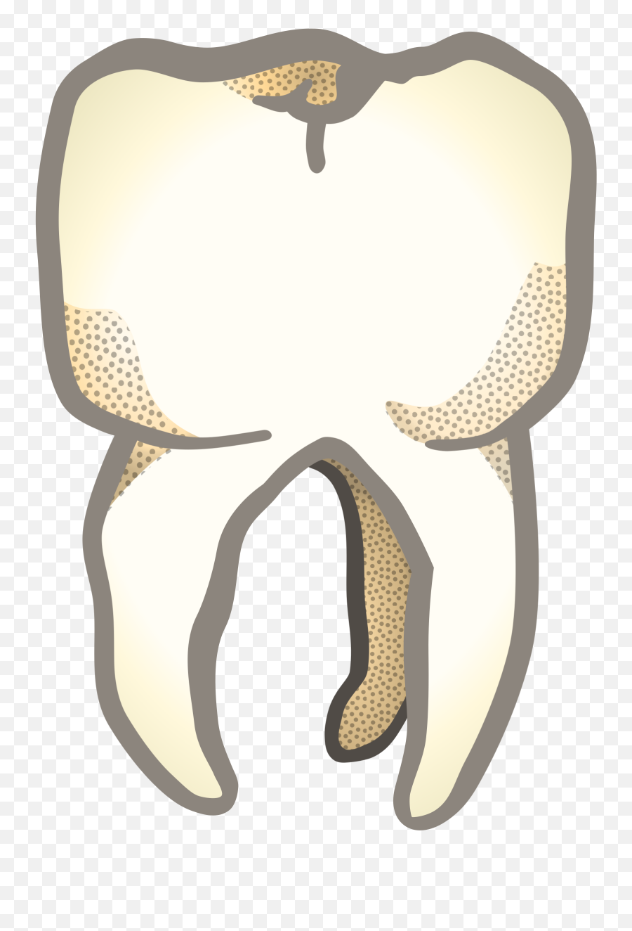 Download Big Image - Canine Tooth Png,Fang Png