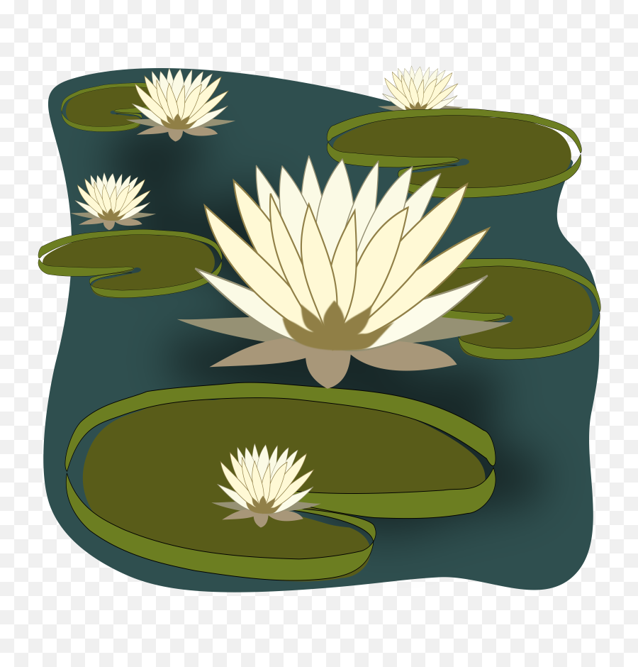 Lake Clipart Lily Pad Pond Transparent - Lily On Water Clipart Png,Lily Pad Png