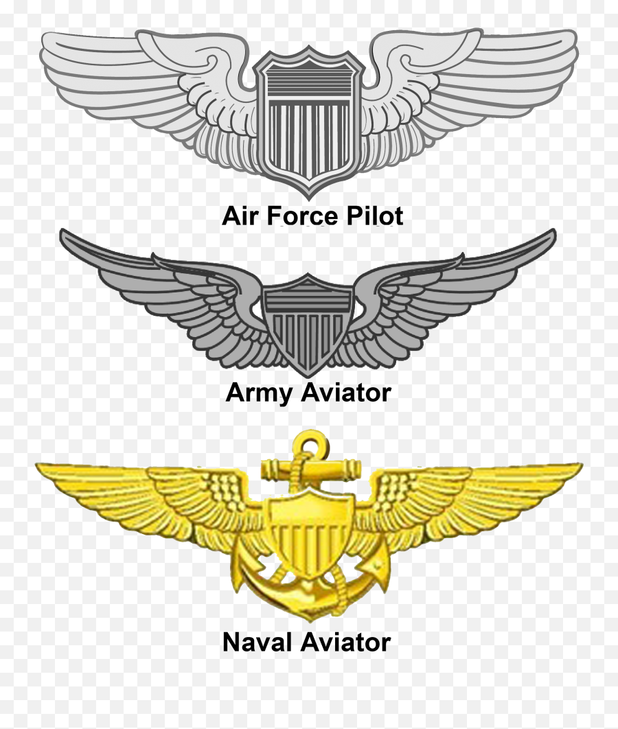 United States Aviator Badge - Air Force Pilot Wings Png,Aviator Png