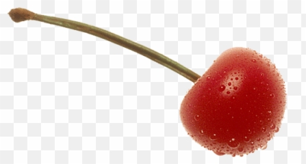Cherry Fruit Transparent Background - png