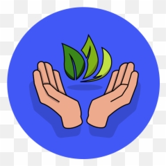 Icon Set U2014 Scott Fox - Language Png,Focused Icon