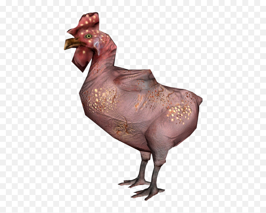 Chicken Fallout 76 Wiki Fandom - Fallout Chicken Png,Chicken Head Icon