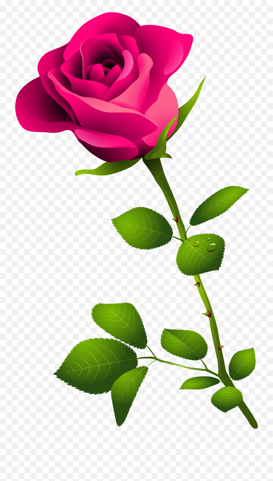 Flower Stem Png Picture - Pink Rose Clipart Transparent Background,Flower Stem Png