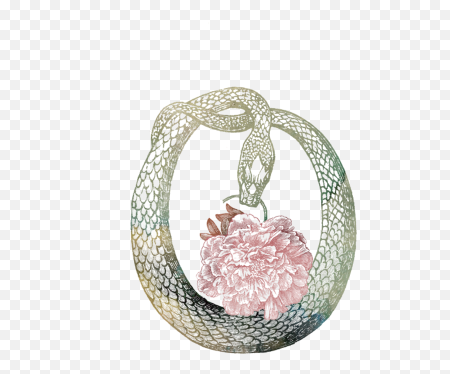 Download Tramp Web Icon Transparent - Flora Botanical Tissue Circle Snake Illustration Png,Tissue Icon Png