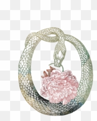 Download Tramp Web Icon Transparent - Flora Botanical Tissue Circle Snake Illustration png