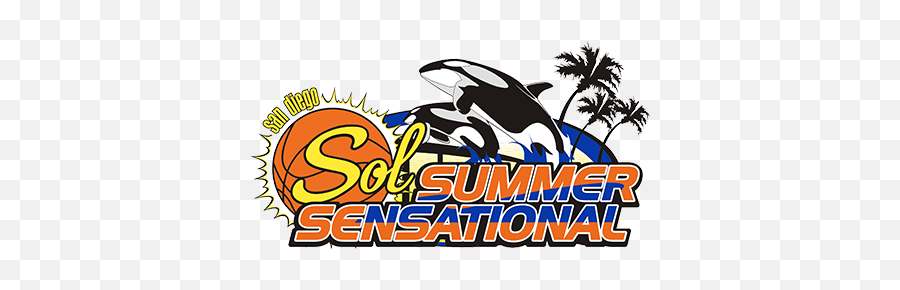 Summersensational - San Diego Sol Basketball San Diego Sol Png,Shadow The Hegehog Icon