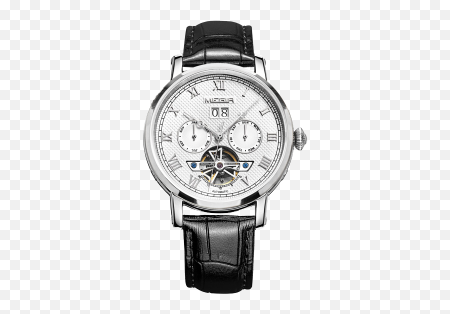 What You Donu0027t Know About Tiajin Seagull Watch Asian - Watch Strap Png,Tales Of Maj'eyal Talent Icon Text
