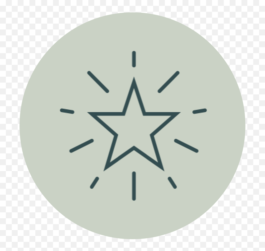 Natalie Eichorn - Home Star Outline Vector Png,About.me Icon