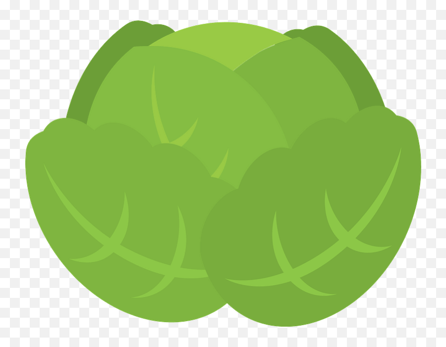 Cabbage Clipart Free Download Transparent Png Creazilla Icon
