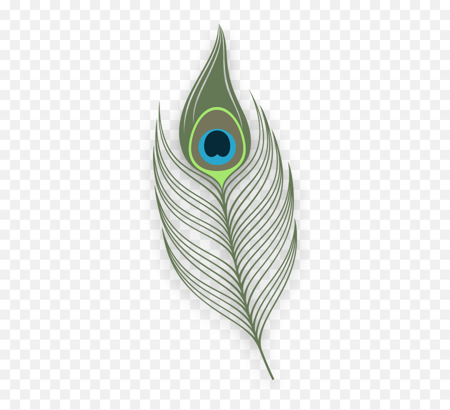 Creating The Space That Represents You Png Peacock Feather Icon