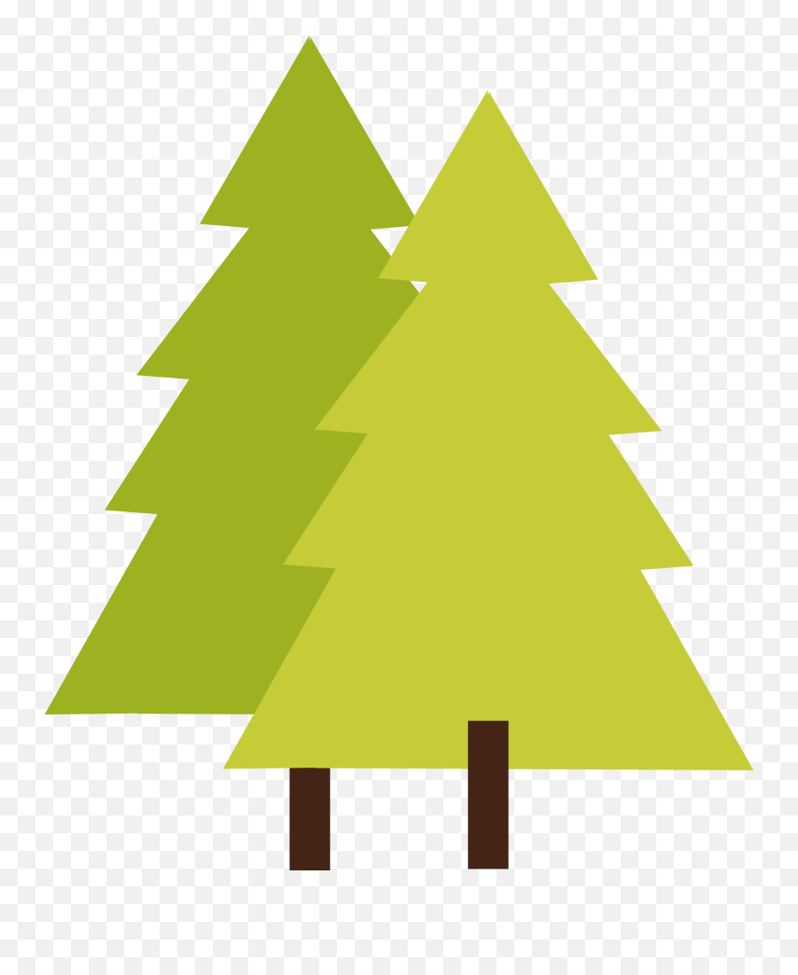 Png Images Quality Transparent Pictures - Pine Tree Png Clipart,Pine Tree Transparent Background