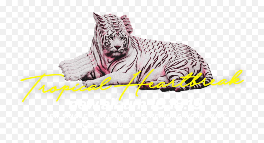 Katastro - Tiger 4k Png,Heartbreak Png