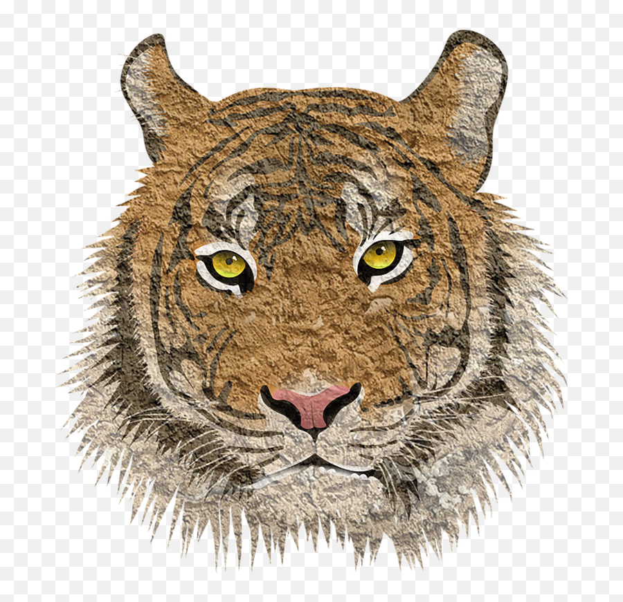 Tiger Cat Animal - Free Image On Pixabay Png,Cougar Png