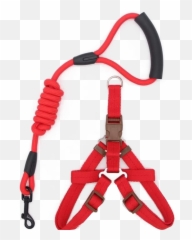 Dog Harness Collar Leash Medium Size - Leash Png,Leash Png