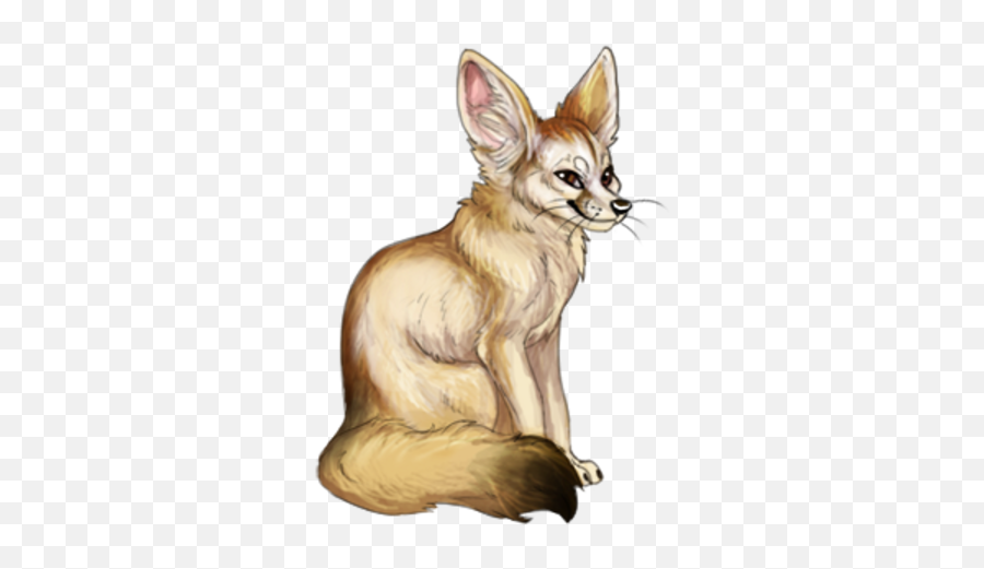 Fennec Fox Clanheart Wiki Fandom - Red Fox Png,Fennec Fox Png