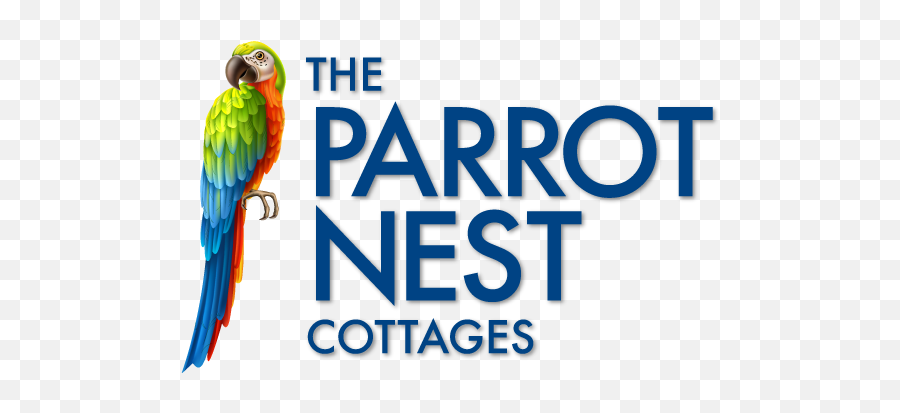 The Parrot Nest Cottages - Sanibel Florida Cottages Parrot Macaw Png,Parrot Transparent