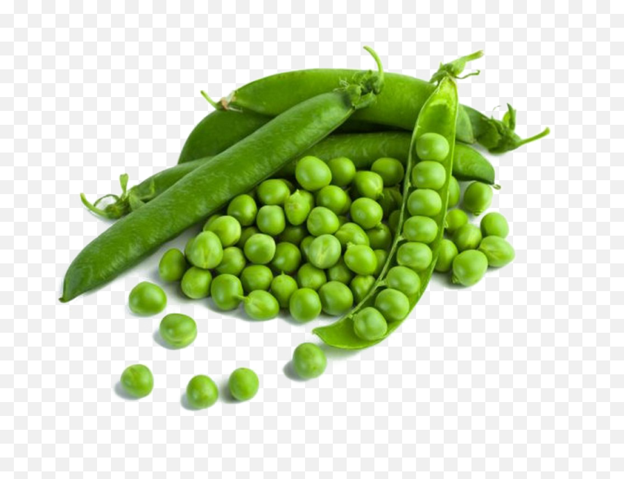 Download Free Png Pea Photo - Green Pease,Pea Png