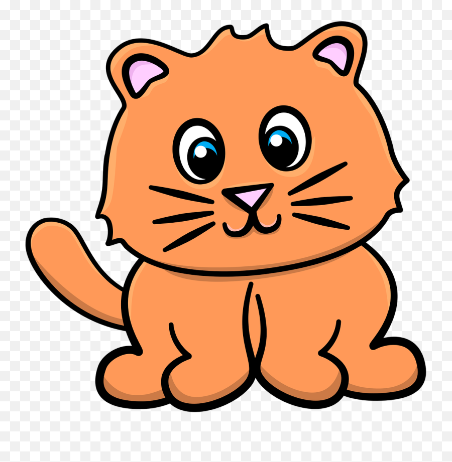 Cat Kitten Lion - Kitten Png,Cat Nose Png