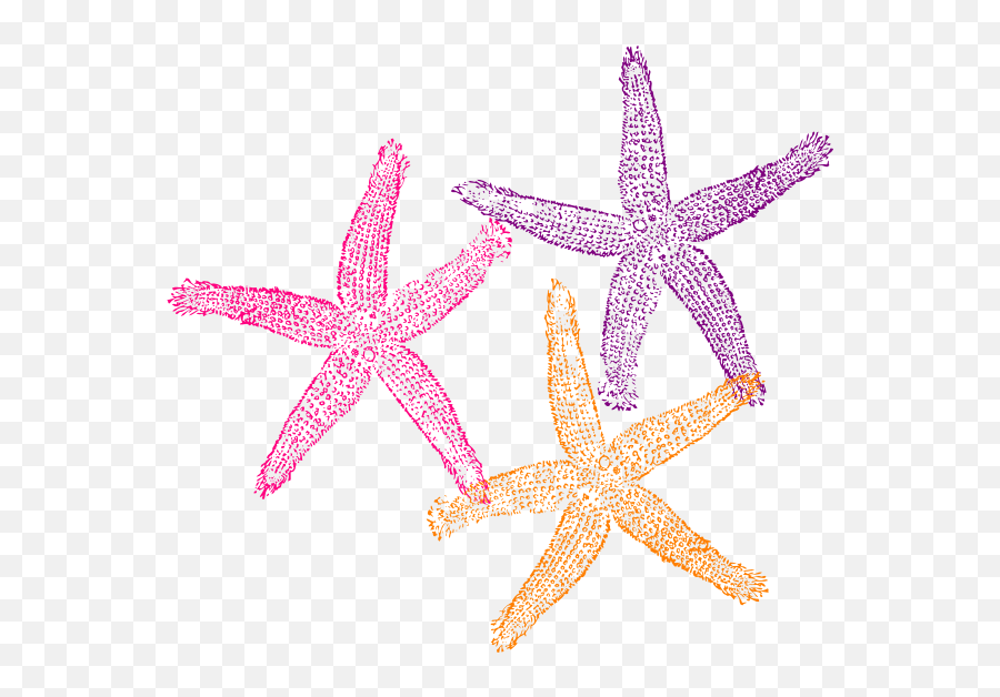 Mermaid Png Clipart Download - Star Fish More Clipart,Starfish Clipart Transparent Background